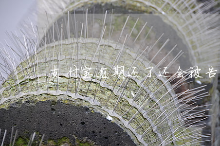 支付宝逾期还了还会被告吗