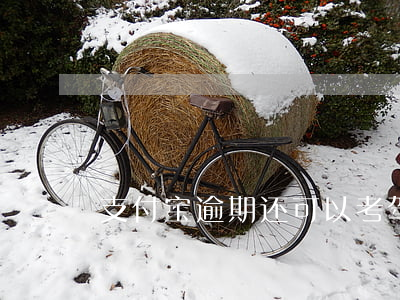 支付宝逾期还可以考驾照吗(支付宝取消驾考)