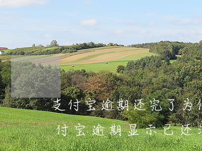 支付宝逾期还完了,为何还显示有逾期未还（支付宝逾期显示已还清）