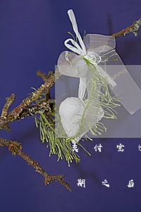 支付宝逾期还完花呗还能用吗(支付宝花呗逾期之后全部还完还能用吗)