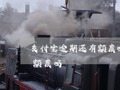 支付宝逾期还有额度吗现在（支付宝逾期还有额度吗）