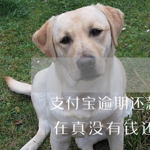 支付宝逾期还款五百(支付宝逾期5000现在真没有钱还怎么办)