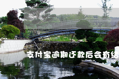 支付宝逾期还款后会有结清证明吗