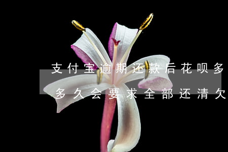 支付宝逾期还款后花呗多久 支付宝花呗逾期多久会要求全部还清欠款