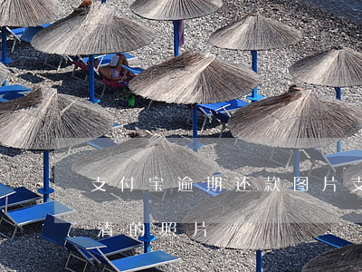 支付宝逾期还款图片（支付宝逾期3000还清的照片）