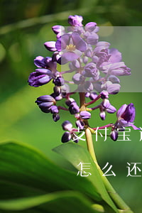 支付宝逾期还款成功(支付宝逾期了还完款了 怎么还用不了)