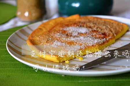 支付宝逾期还能借出来吗(支付宝全部逾期还可以借钱吗)