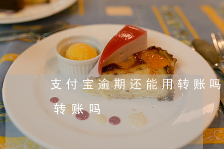 支付宝逾期还能用转账吗（支付宝逾期还能被转账吗）