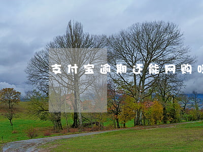 支付宝逾期还能网购吗(有没有支付宝逾期的)
