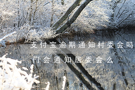 支付宝逾期通知村委会吗 支付宝逾期说要上门,会通知居委会么