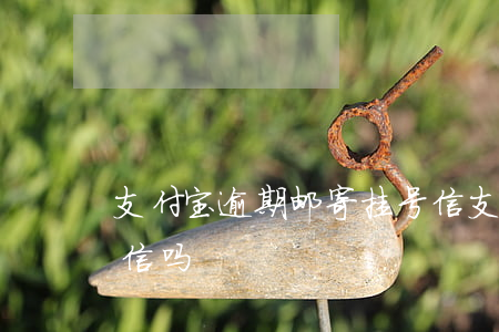 支付宝逾期邮寄挂号信(支付宝逾期会寄挂号信吗)