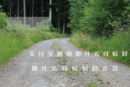 支付宝逾期都什么时候划扣还款 支付宝逾期都什么时候划扣还款