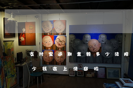 支付宝逾期金额多少法院立案(支付宝逾期多少钱会上法庭吗)