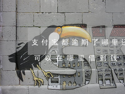 支付宝都逾期了哪里还能借(支付宝逾期了还可以在哪里借到钱)