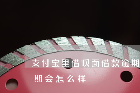 支付宝里借呗面借款逾期(支付宝借呗欠钱逾期会怎么样)