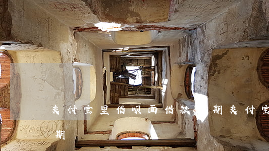 支付宝里借呗面借款逾期(支付宝花呗借呗逾期)