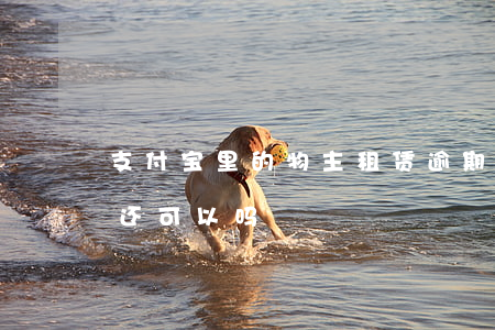 支付宝里的物主租赁逾期没还(支付宝租物不还可以吗)
