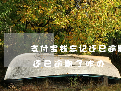 支付宝钱忘记还已逾期了咋办(支付宝钱忘记还,已逾期了咋办)