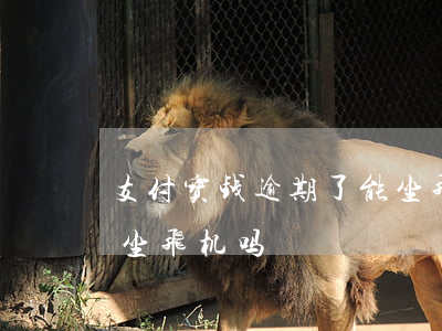 支付宝钱逾期了能坐飞机吗(只欠支付宝钱能坐飞机吗)