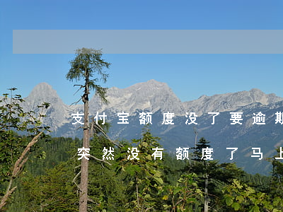 支付宝额度没了要逾期的朋友有吗-支付宝突然没有额度了马上还款会恢复么