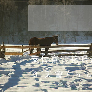 支付寶'花唄逾期10天(支付寶花唄逾期10天會(huì)上征信嘛)