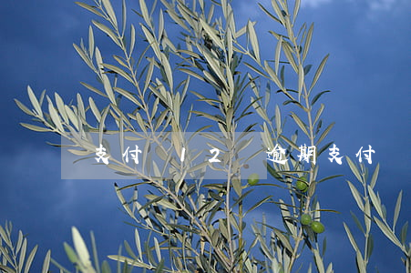 支付寶12萬逾期(支付寶12萬逾期2年了)