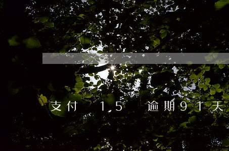 支付寶15萬逾期91天