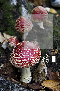 支付寶15萬逾期判坐牢