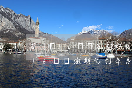 支付寶16塊錢逾期的利率是多少-支付寶16塊錢逾期的利率是多少錢