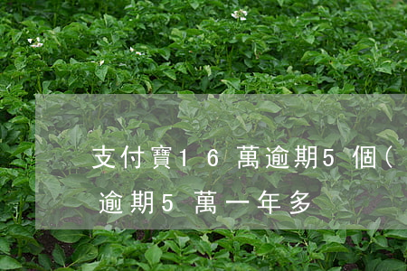 支付寶16萬逾期5個(gè)月了(支付寶逾期5萬一年多)