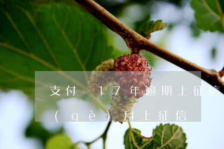 支付寶17年逾期上征信嗎(支付寶逾期幾個(gè)月上征信)