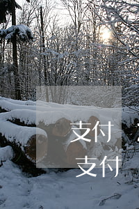 支付寶2000塊錢(qián)逾期銀行(支付寶逾期五百塊)