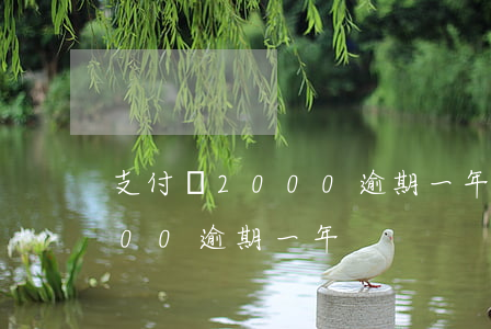 支付寶2000逾期一年多（支付寶欠款1800逾期一年）