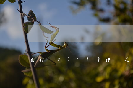 支付寶2017年借唄逾期