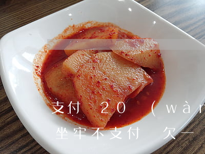 支付寶20萬(wàn)逾期會(huì)坐牢不(支付寶欠一萬(wàn)多逾期會(huì)坐牢嗎)