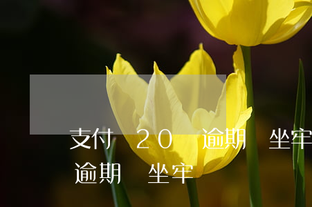 支付寶20萬逾期會坐牢不(支付寶欠一萬多逾期會坐牢嗎)
