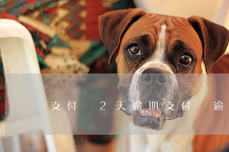 支付寶2天逾期(支付寶逾期倆月)