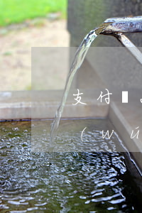 支付寶2萬(wàn)現(xiàn)在無(wú)力償還怎么處理-支付寶2萬(wàn)現(xiàn)在無(wú)力償還怎么處理呢