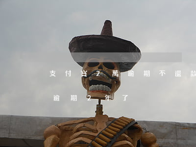 支付寶2萬逾期不還款后果(支付寶欠款2萬逾期2年了)