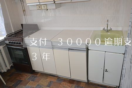 支付寶30000逾期(支付寶5000逾期3年)