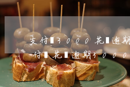 支付寶3000花唄逾期一年會上門嗎-支付寶花唄逾期3000會起訴嗎?會不會坐牢