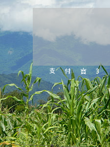 支付寶300逾期多少天