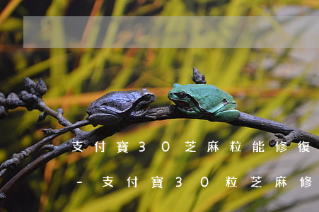 支付寶30芝麻粒能修復(fù)幾個逾期-支付寶30粒芝麻修復(fù)一次嗎