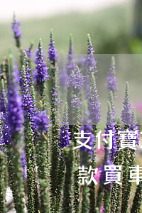 支付寶3年逾期能買車嗎 支付寶逾過期能貸款買車嗎