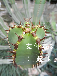 支付寶3萬(wàn)逾期多久會(huì)起訴(支付寶逾期三千多,一年多了會(huì)不會(huì)被起訴)