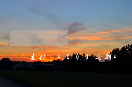 支付寶4000逾期4個月