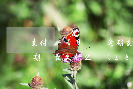 支付寶400塊錢逾期(支付寶400塊錢逾期會最久什么責(zé)任)