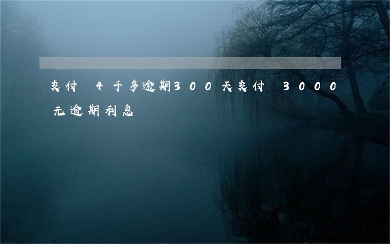 支付寶4千多逾期300天（支付寶3000元逾期利息）