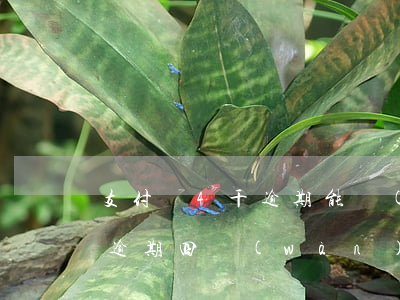 支付寶4千逾期能買(mǎi)房嗎(支付寶逾期四萬(wàn)多)