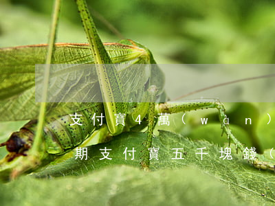 支付寶4萬(wàn)塊錢(qián)逾期(支付寶五千塊錢(qián)逾期半年)